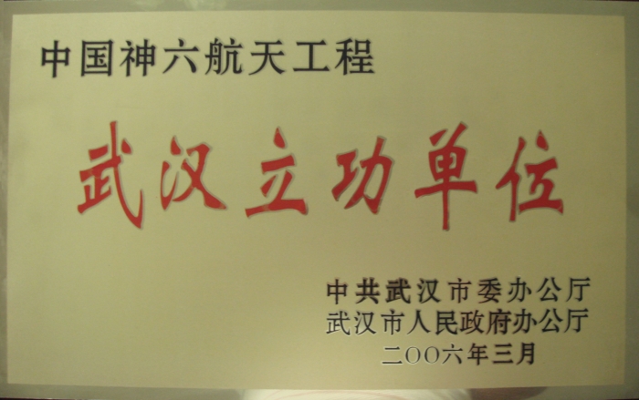 武漢市委、市人民政府表彰